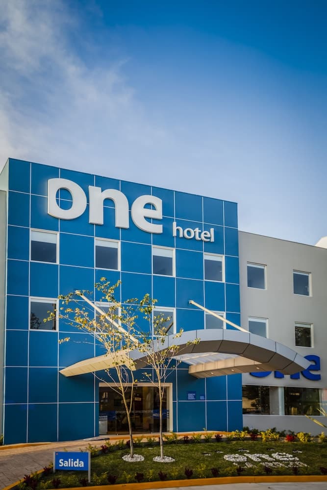 One Ciudad de Mexico La Raza, Primary image