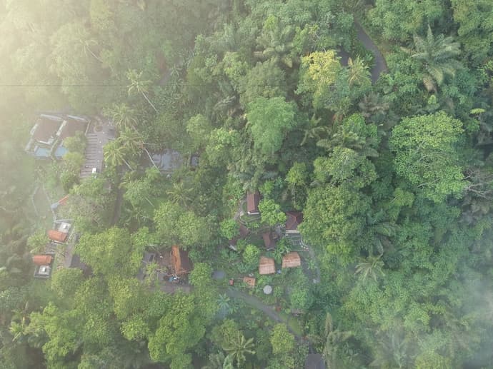 Bali Jungle Huts, Primary image