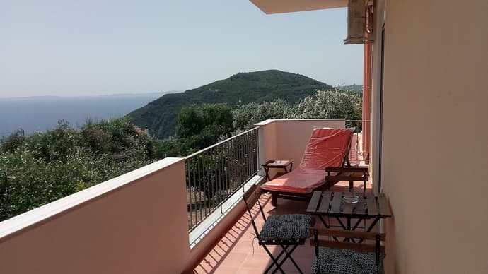 Olive Tree Apartment, Primary image