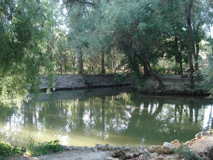 El Rincon del Labrador, Primary image