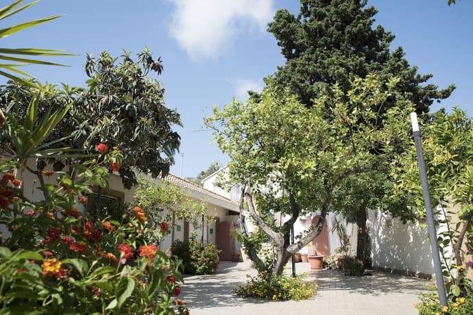 L'Albero, Primary image