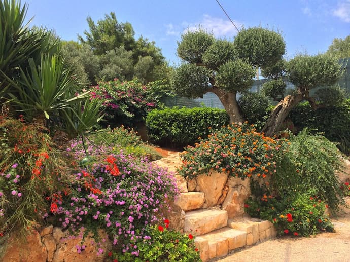 B&B All'Ombra degli Ulivi, Primary image