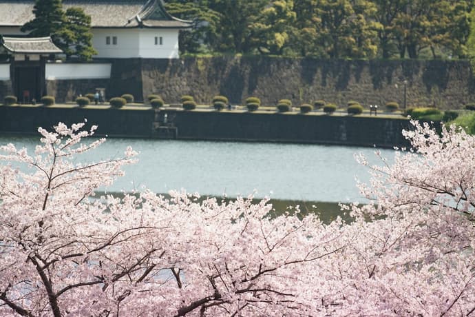 Shangri-La Tokyo, Primary image