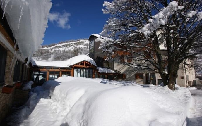 Europa, Primary image