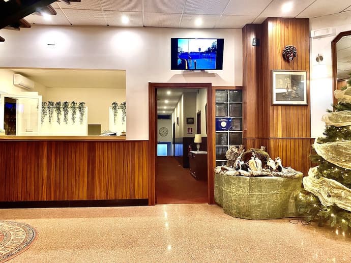 Mini Hotel, Reception