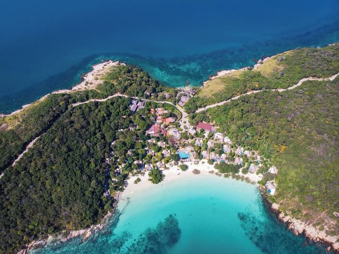 Paradee, Primary image