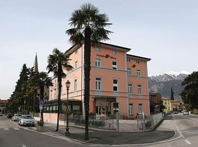 Olivo, Primary image