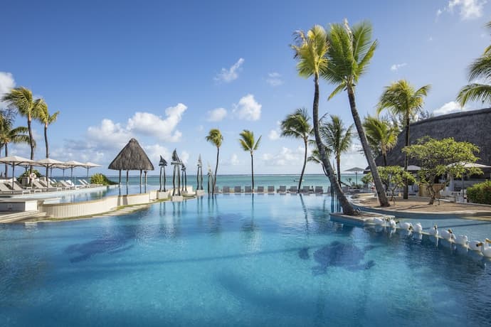 Ambre - GATTINONI, Primary image