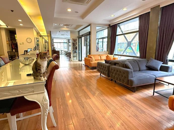 Hotellino, Primary image