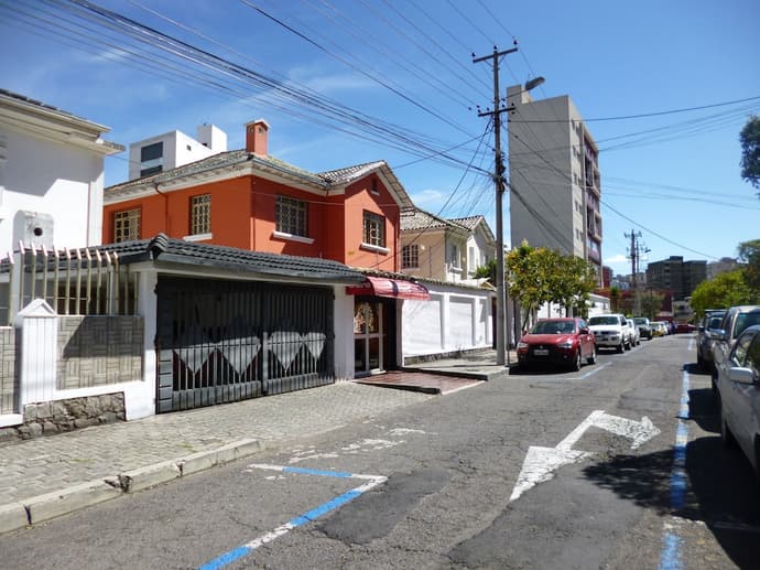 Andino, Primary image