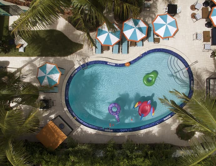 Generator Miami, Primary image