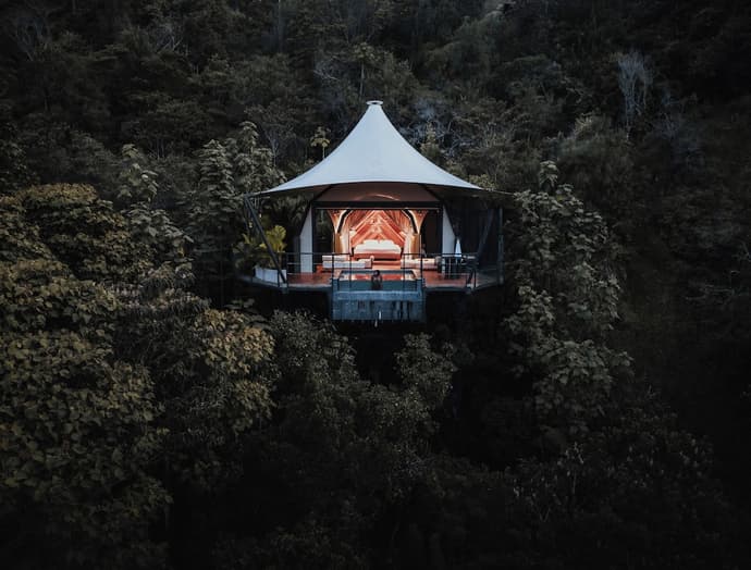 Bosko, Primary image