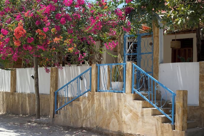 Barabara House, Primary image