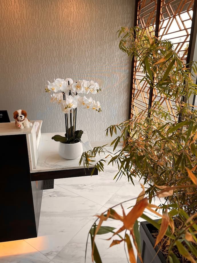 Swiss-Belhotel Napier, Interior entrance