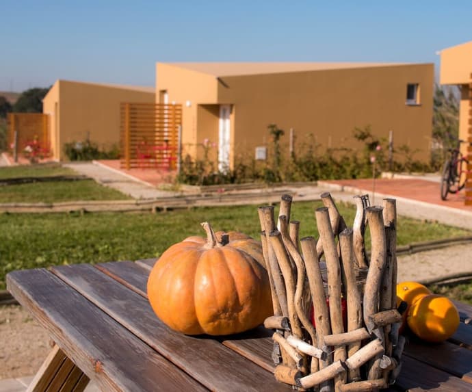 Entre Vinhas & Mar, Primary image