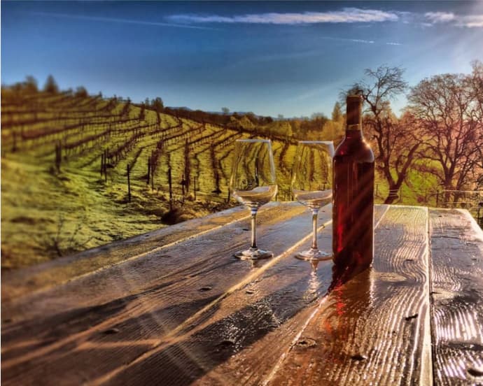 Papillon Cellars, Primary image