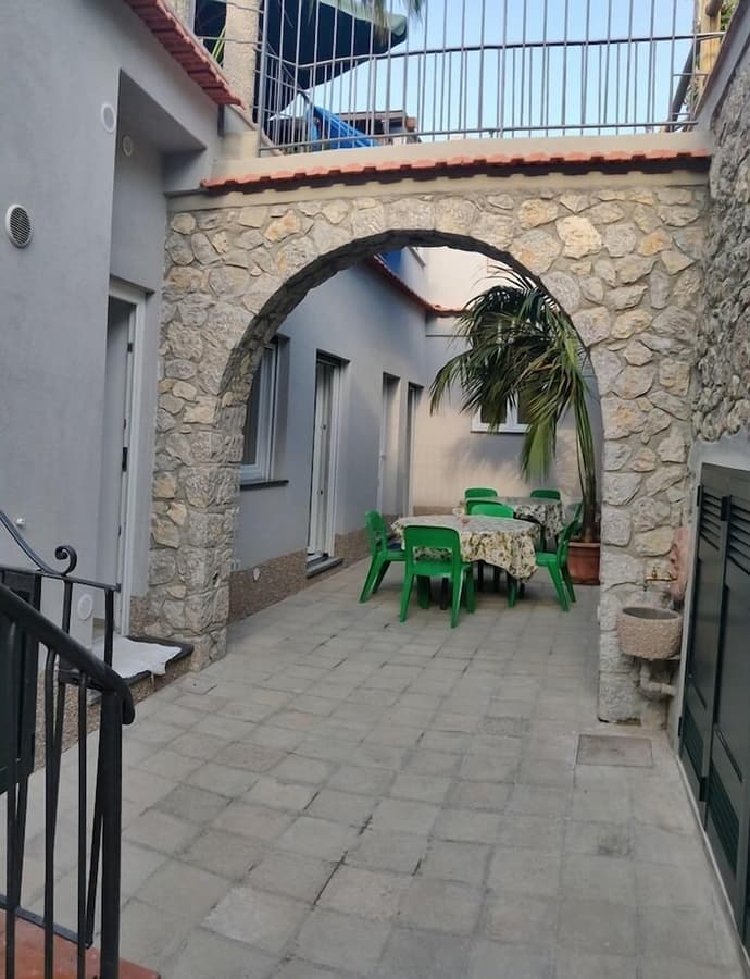 Hedera, Primary image