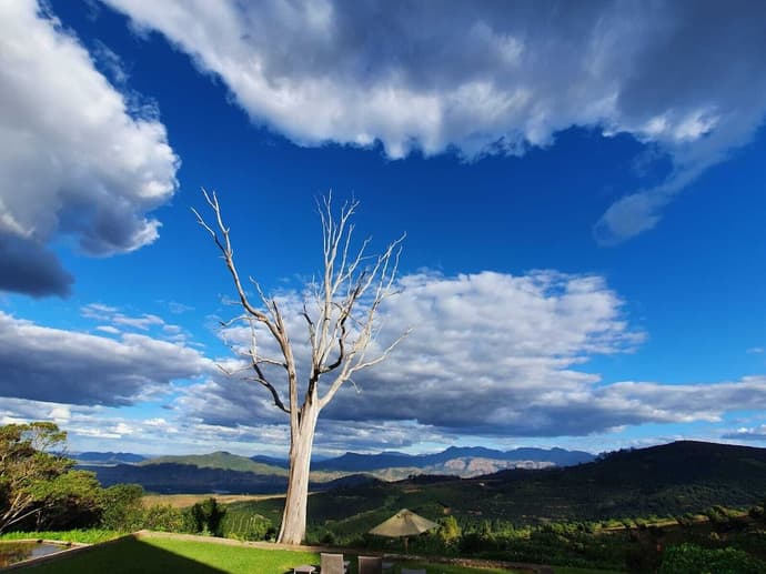 Kings Walden Garden Manor, Primary image