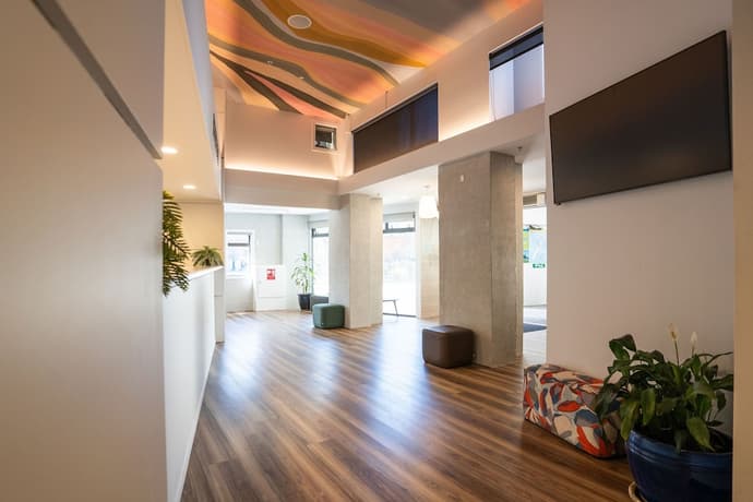 Haka House Wellington, Reception