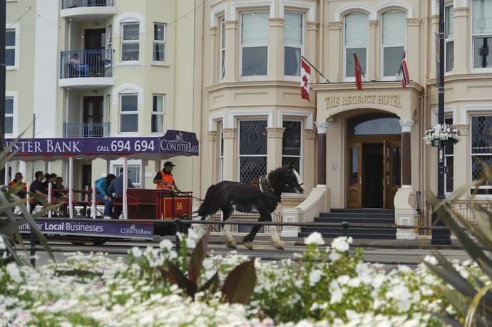 Regency Hotel, Primary image