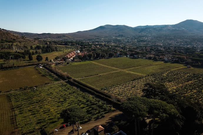 Villa Cavalletti, Primary image