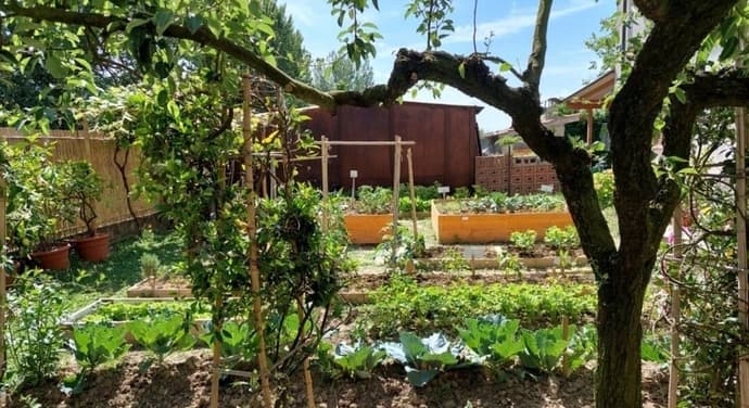 Villa Oasi, Primary image