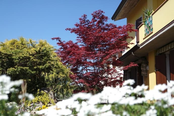 Affittacamere Marisa, Primary image