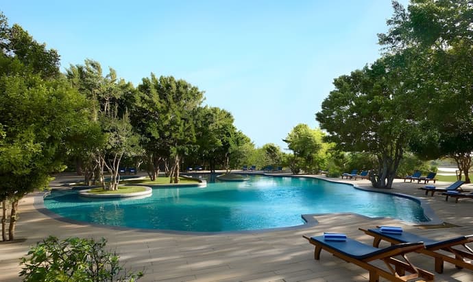 Cinnamon Wild Yala, Primary image