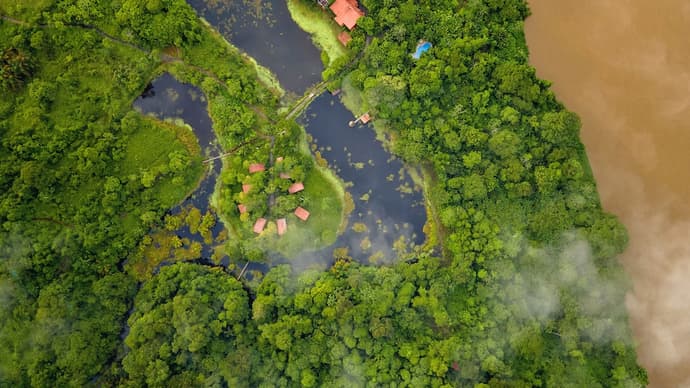 Maquenque Lodge, Primary image