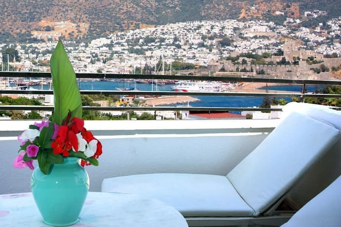 Emelce Aparts, Primary image