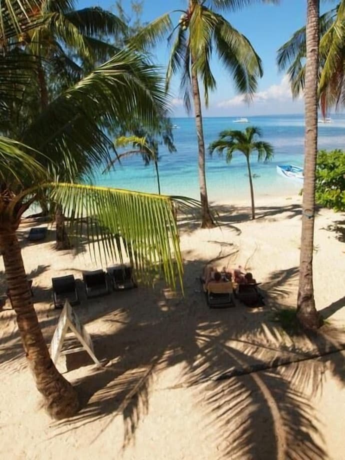 Ocean Vida Beach and Dive Resort, Primary image