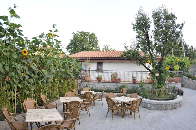 Rabbit, Primary image