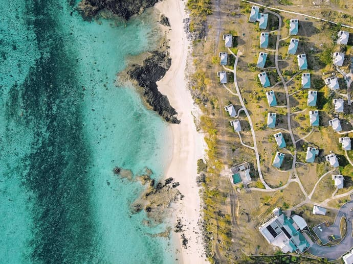 Constance Tekoma. Rodrigues, Primary image