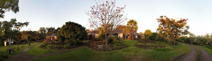 Altiplanico Rapa Nui, Primary image