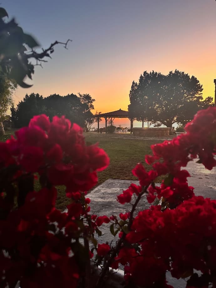 Apartments Genari, Primary image