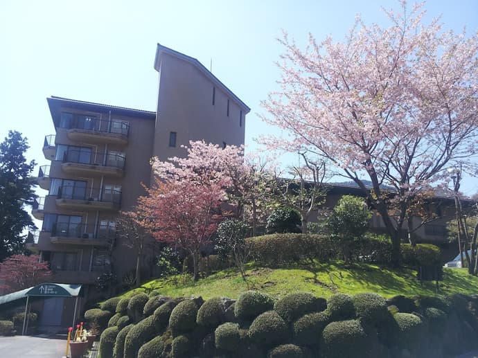 Wisterian Life Club Verde no Mori, Primary image