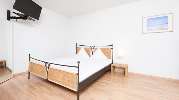 Apartments Swiss Star Sihlfeld, Primary image