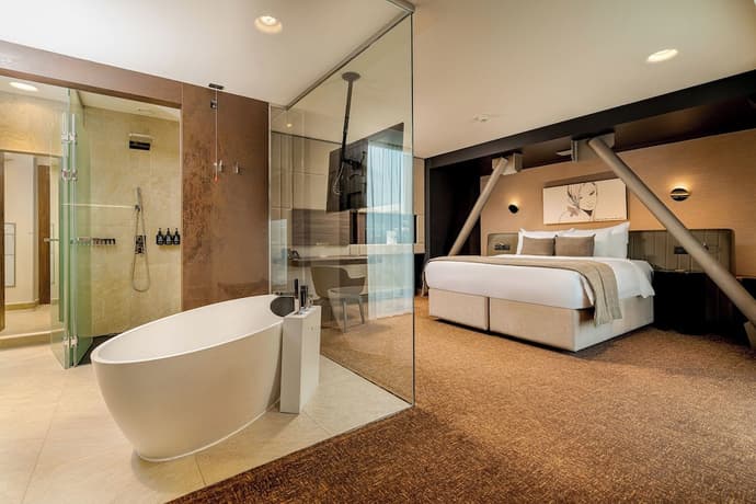 Kronwell Brasov Hotel, Primary image