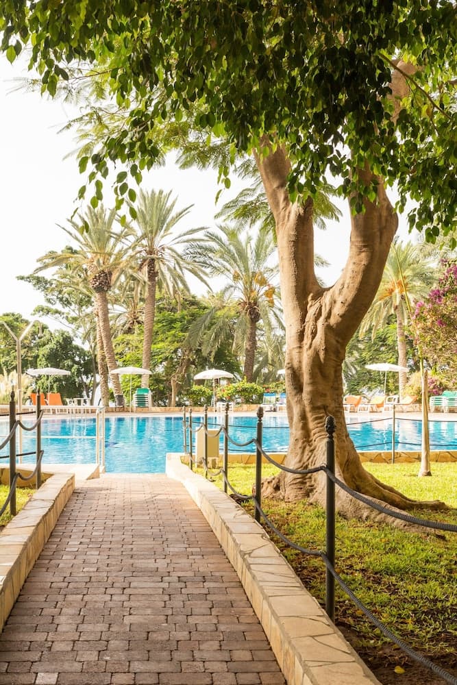 Pierre & Vacances Tenerife-Marazul del Sur, Primary image