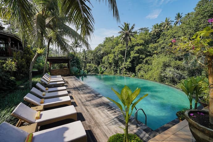 Pertiwi Bisma 1, Primary image