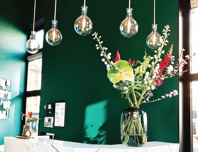 Linden Hotel, Primary image