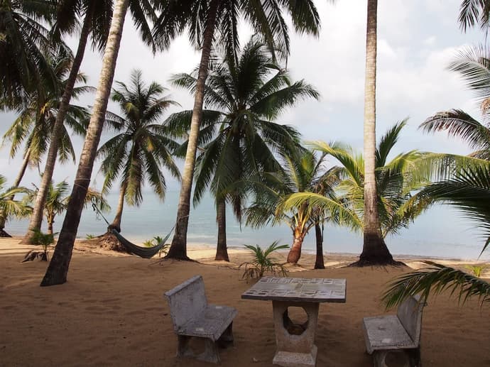 Palm Point Village, Primary image