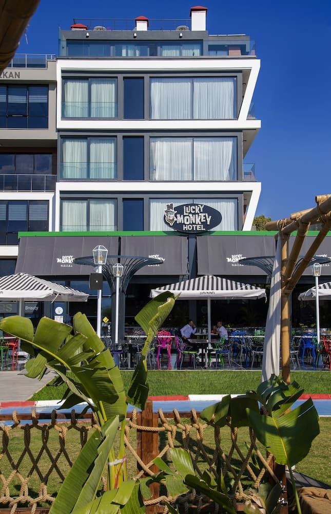 Lucky Monkey Hotel, Primary image