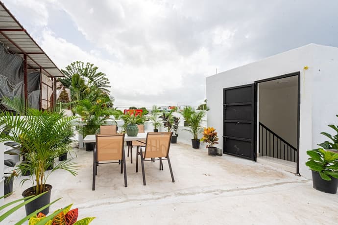 Bamboo House, Primary image