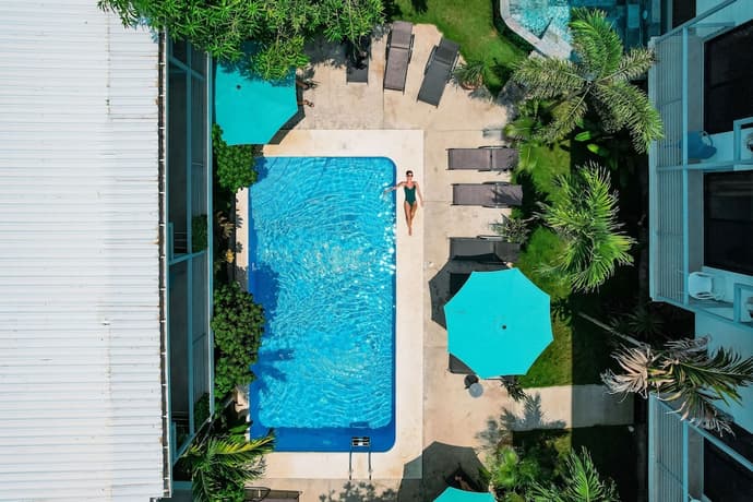 Wide Mouth Frog, Primary image