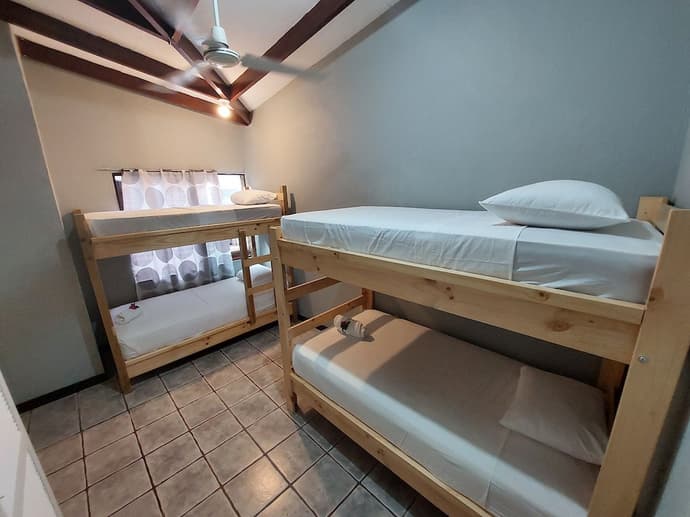 Wide Mouth Frog, Room