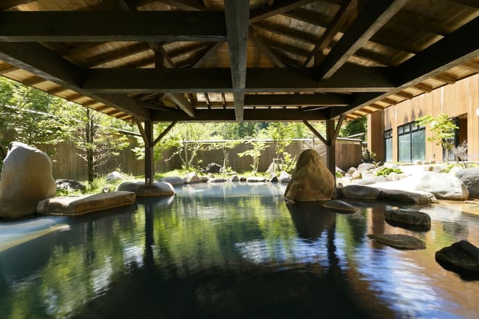 Hodakaso Sanganoyu, Primary image