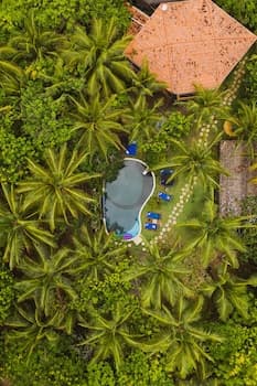 Butterfly House Bahia, Primary image