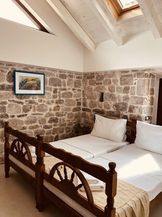 Giraffe, Primary image