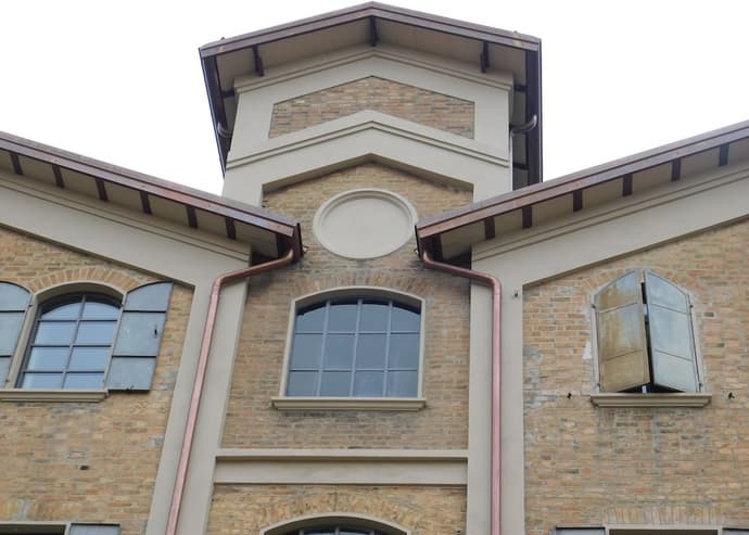 Piumaviola, Primary image